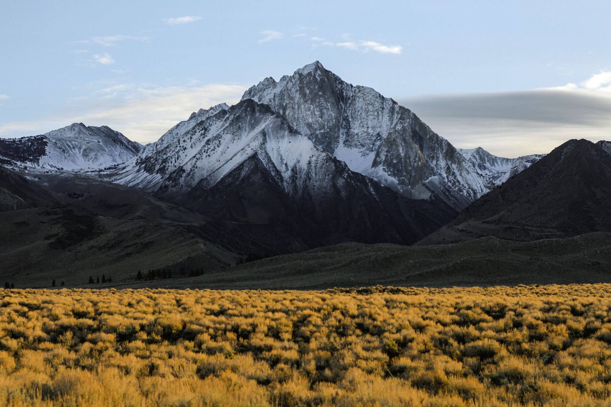 How to Conquer the Project Reporting Mountain